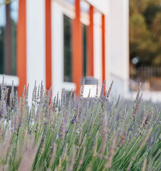 Centre DAT de Vitrolles